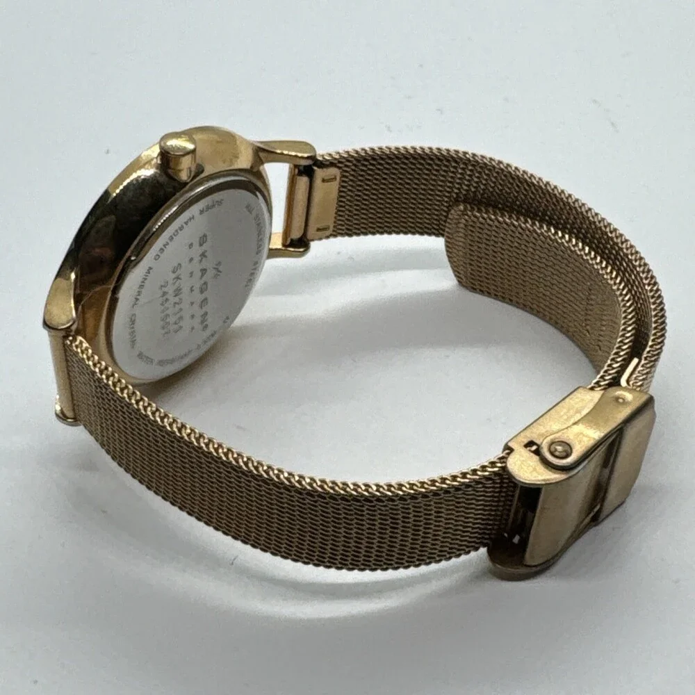Skagen SKW2151 Womens Stainless Steel Mesh Analog Dial Quartz Wrist Watch AEA290